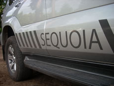 van branded with Sequoia, Landscape Designers Farnham