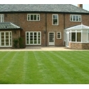 stunning green lawn outside home